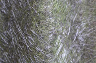 Kirktown Of Mortlach fibreglass roof work